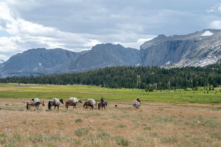 Wyoming Windriver Horses