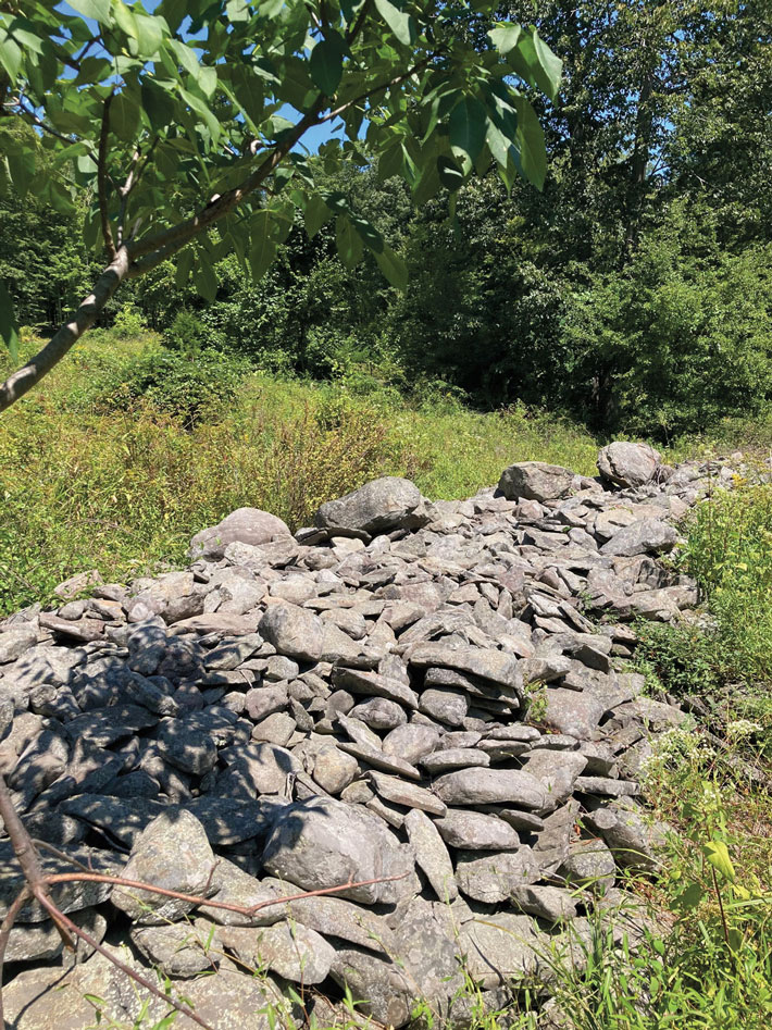 Catskills Farm Stone Wall
