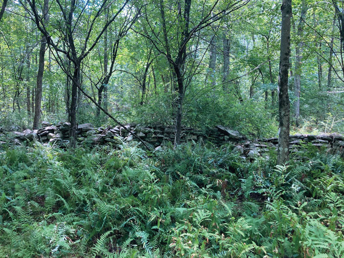 Catskills Olive Stone Fence