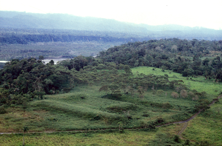 A complex of rectangular earthen platforms at the site of Nijiamanch, which sits on a cliff along Ecuador’s Upano River, was part of a network of early urban communities in the Amazon that Indigenous people built beginning around 2,500 years ago. (S. Rostain)