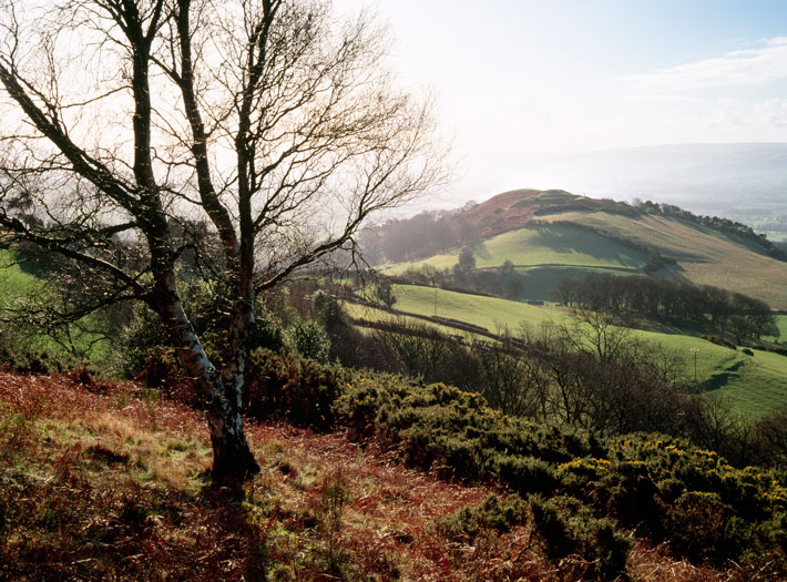 Wales Hillforts Bodfari