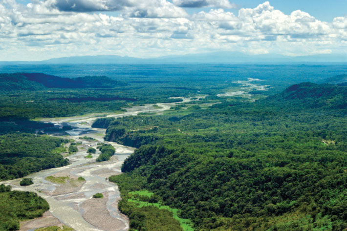 Trenches Amazon Rainforest