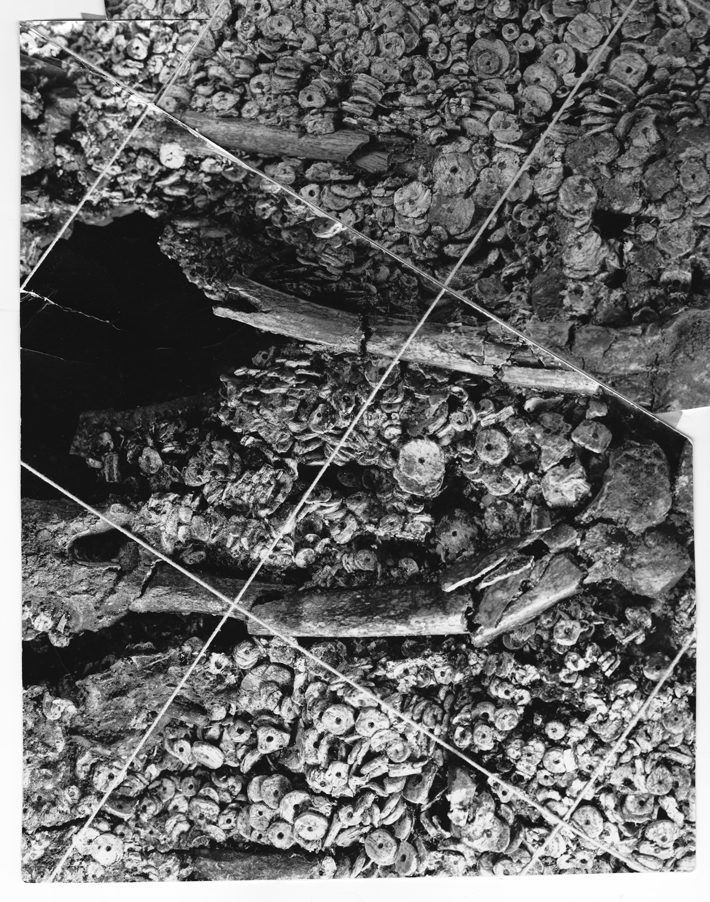 Trenches Cahokia Shell Bead Burial