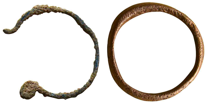 Petra Earring Ring