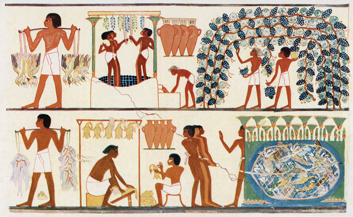 Alcohol Egypt Nakht Tomb