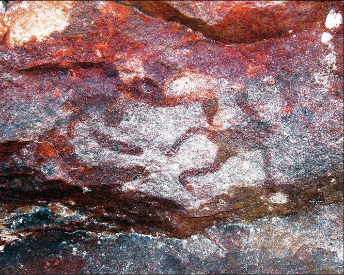 Digs Australia Rock Art