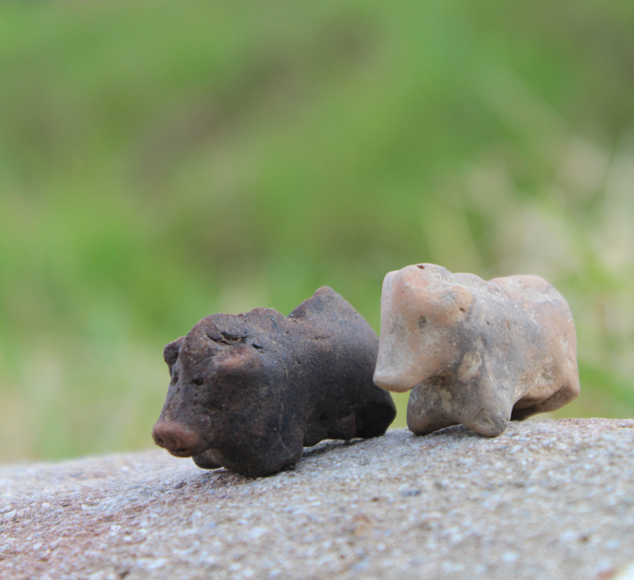 Digs Poland Pig Figurines