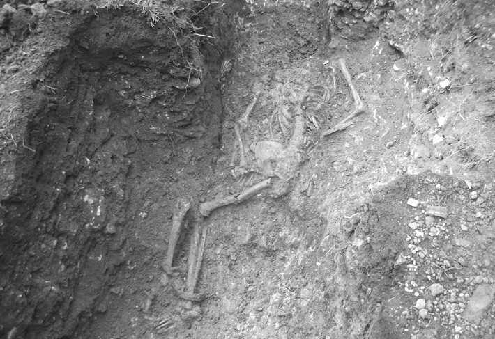 ND21 Digs Opener Skeleton