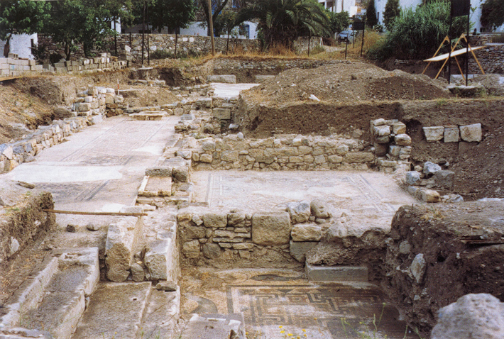 DD Turkey Mosaic Excavation