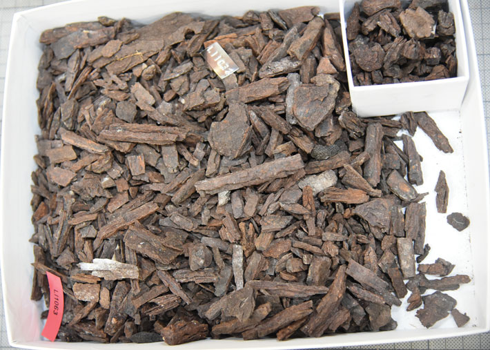 Australia Iron Fragments