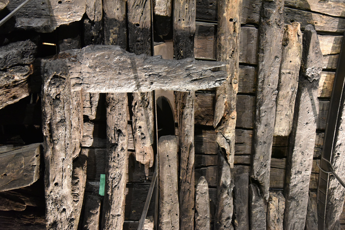 Timbers from Batavia’s starboard side (Courtesy Roger Atwood)