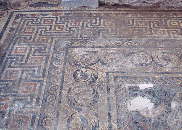 Detail of polychrome mosaic showing elaborate geometric patterns and birds from House of Charidemos, Halicarnassus, Turkey (Photo by J. Isager)