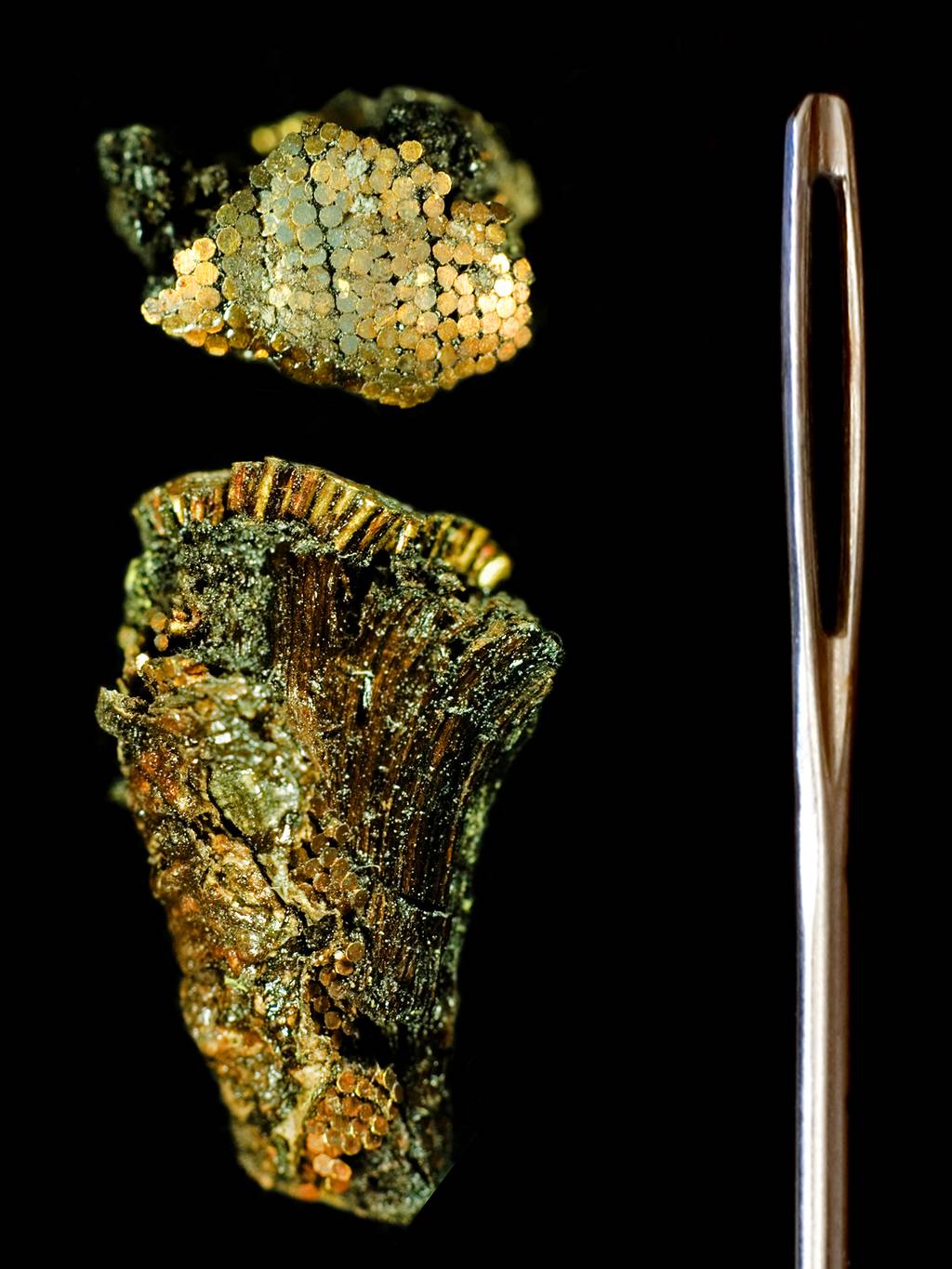 Bronze-Age-Gold-Dagger-Studs