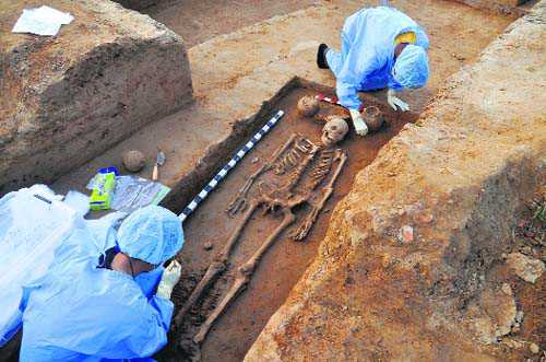 India Harappan skeletons