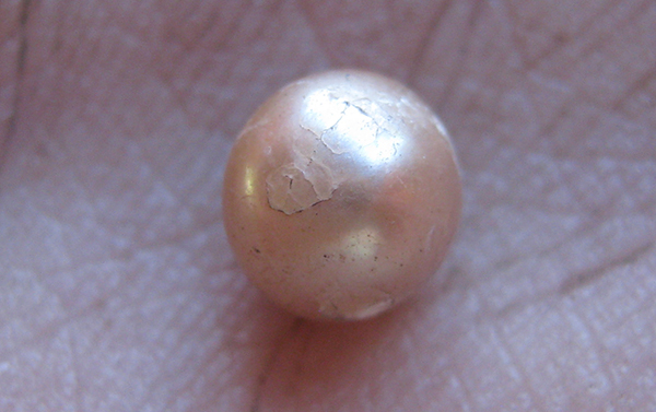 Australia oyster pearl