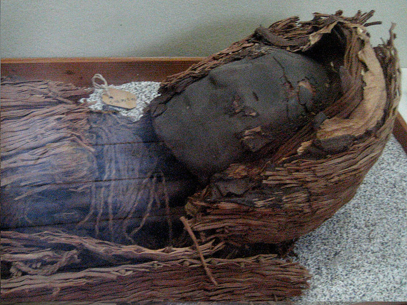Chinchorro mummy