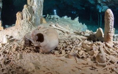 Underwater cave bones