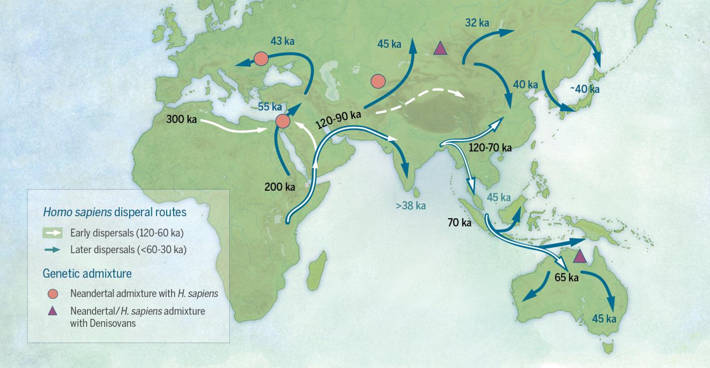 Early migratory pathways