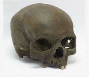 England river skull