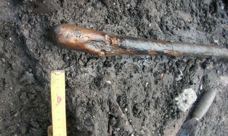Neanderthal wooden tool