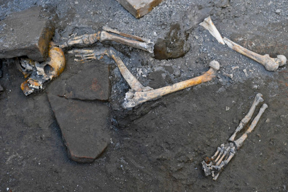 Pompeii human remains