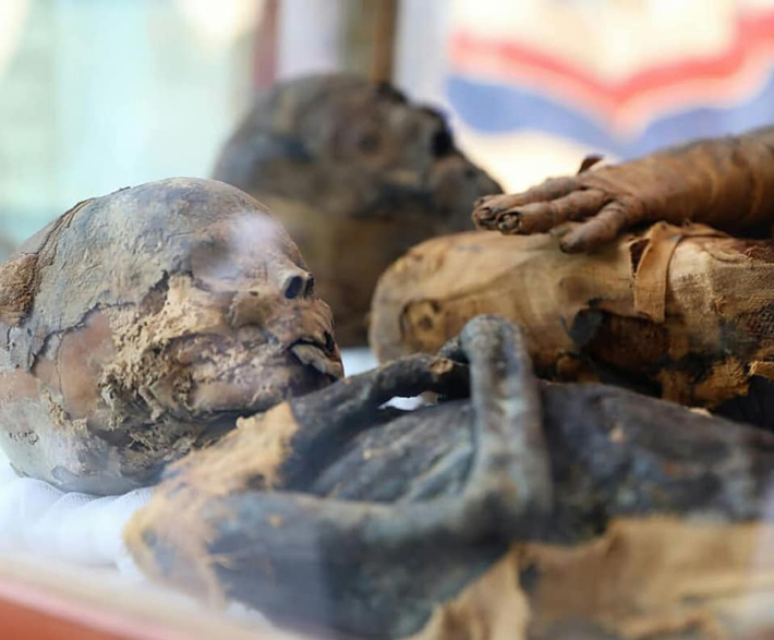 Egypt Sohag Mummies