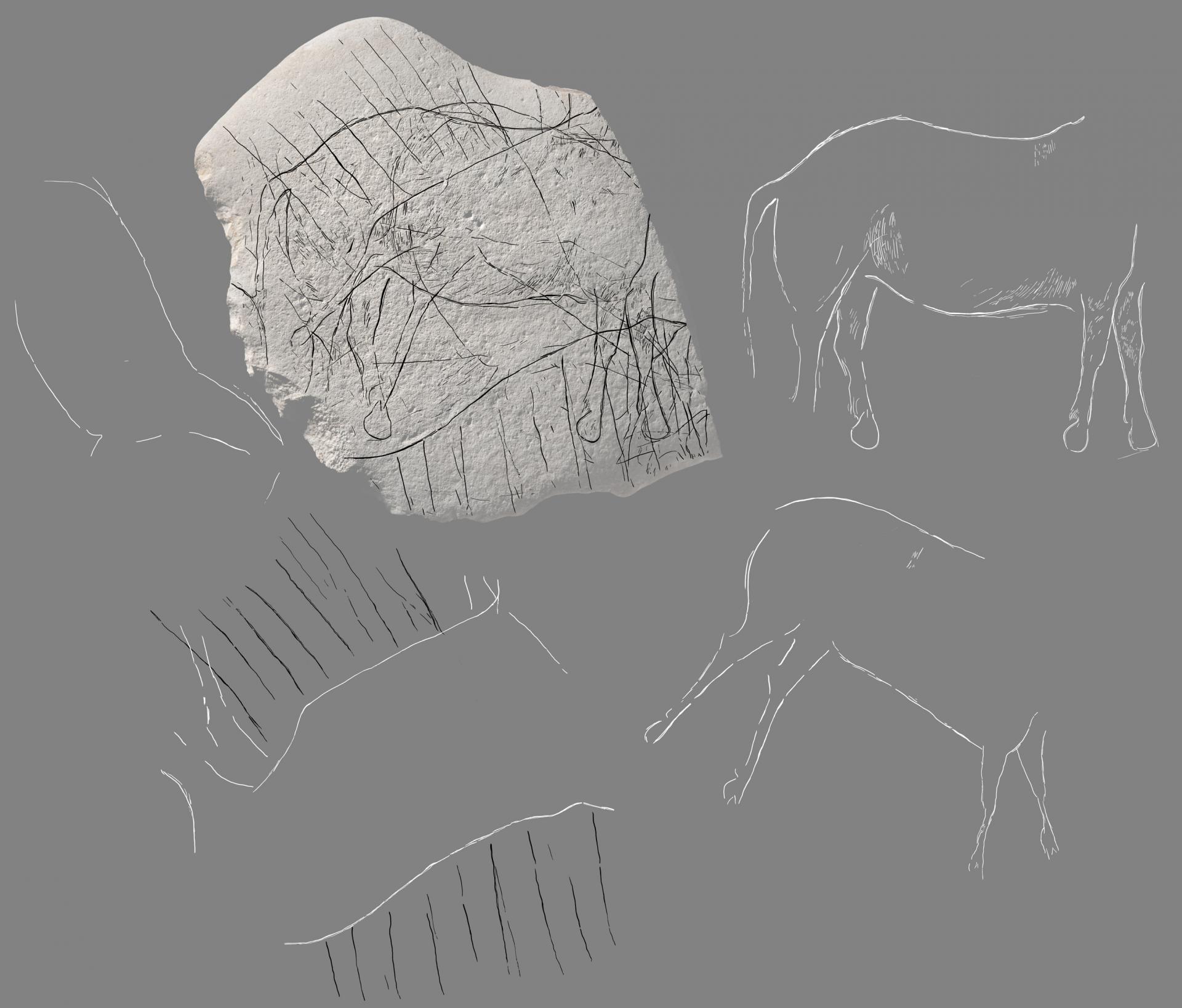 France horse engraving