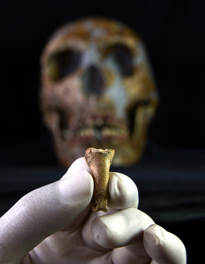 Neanderthal Eagle Bone