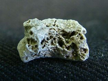 England Bone Fragment