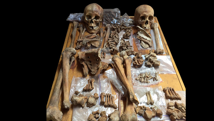 Mongolia Skeletons