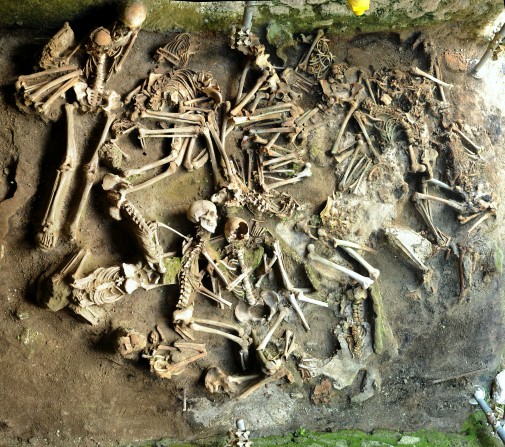 Herculaneum Skeletons
