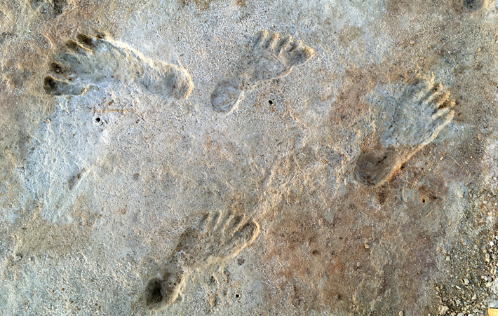 White Sands Footprints