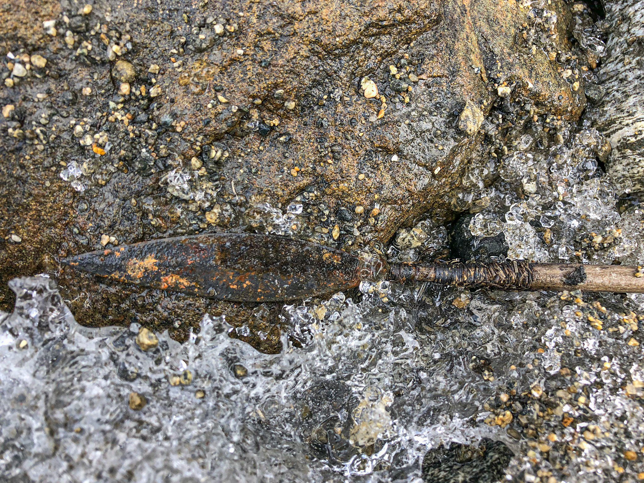 Well-Preserved Iron Age Arrow Discovered in Norway - Archaeology Magazine