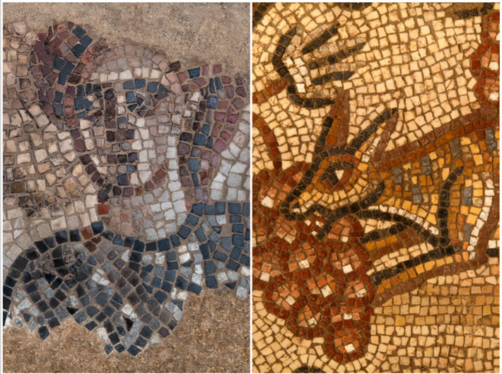 Israel Huqoq Mosaics