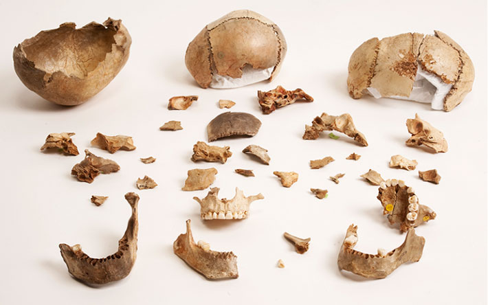 UK Paleolithic Bones