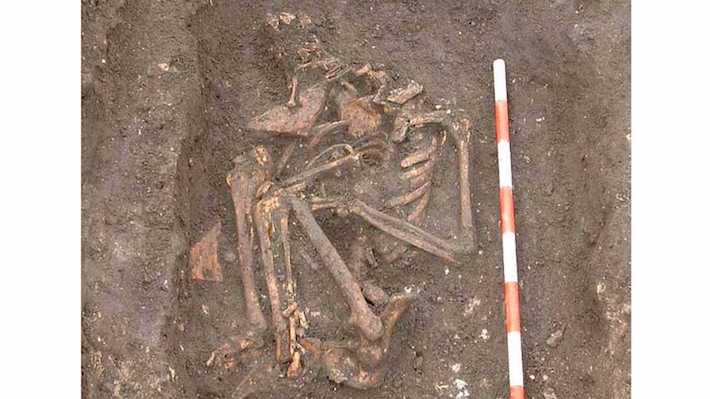 England Anchoress Skeleton
