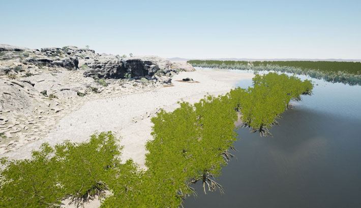 Australia Floodplain Mangroves