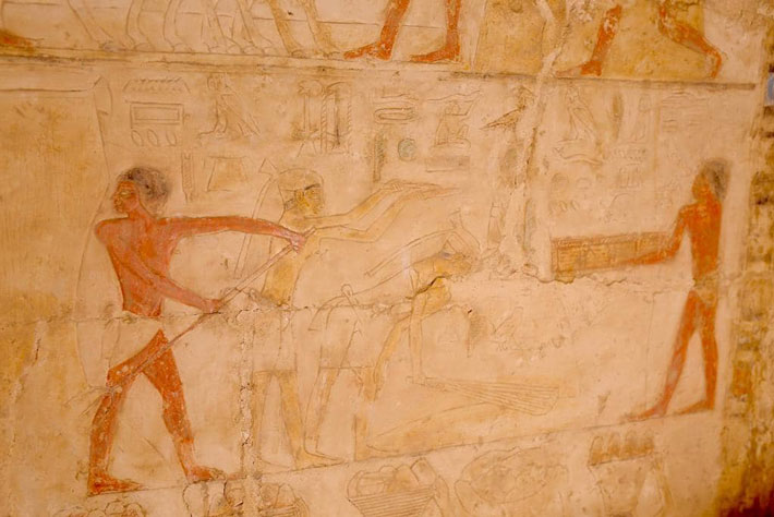 Egypt Saqqara Painting