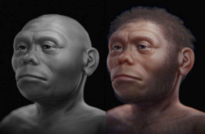 Homo Floriensis Reconstruction