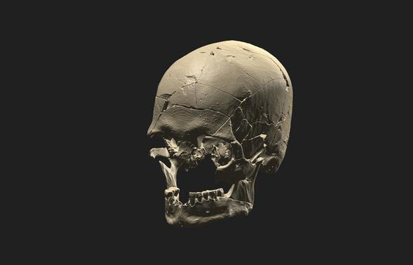 Brazil Luzio Skull