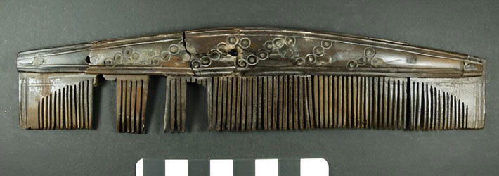 Chemical Analysis of Viking Combs Hints at Long-Distance Trade - Archaeology Magazine