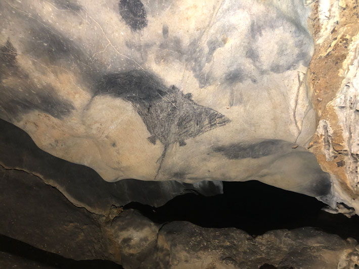 Radiocarbon Dating Pushes Back Age of Puerto Rico's Cave Art ...