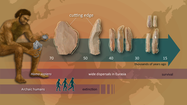 Homo sapiens Stone Tools
