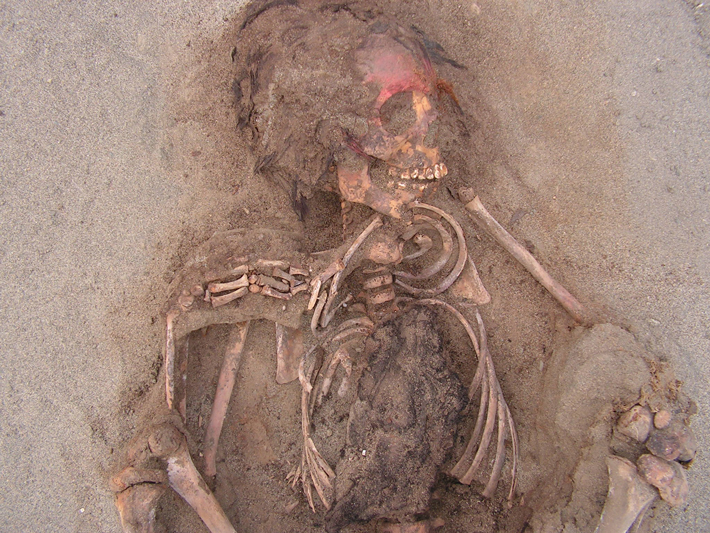 Peru Las Llamas Child Skeleton