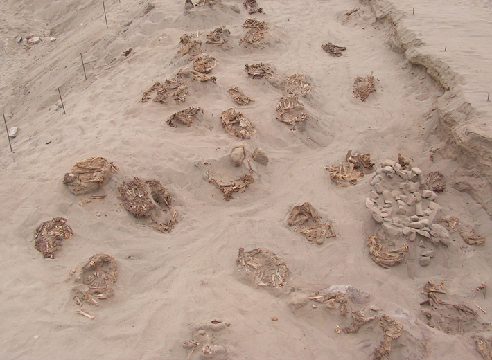 Peru Las Llamas Human Animal Sacrifice