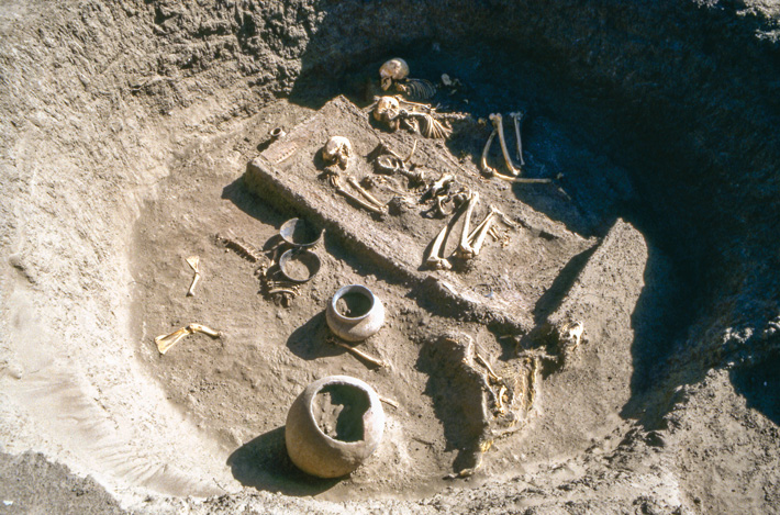 Kerma Royal Tomb Skeletons