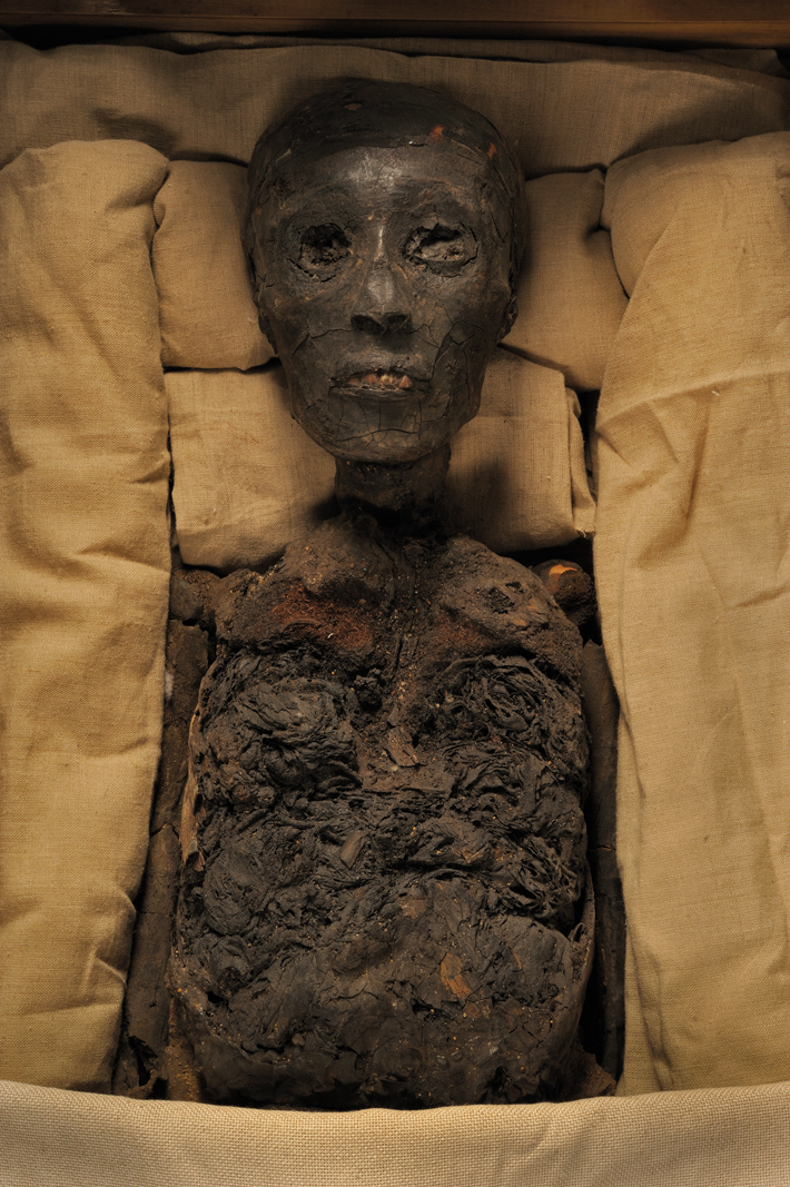 SO22 Digs Egypt Tut Mummy