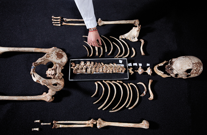 SO22 Digs Mesolithic Skeleton