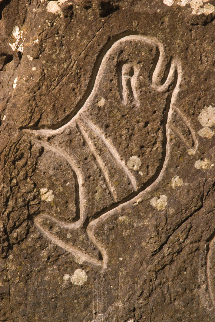 SO22 Digs OTG Petroglyph