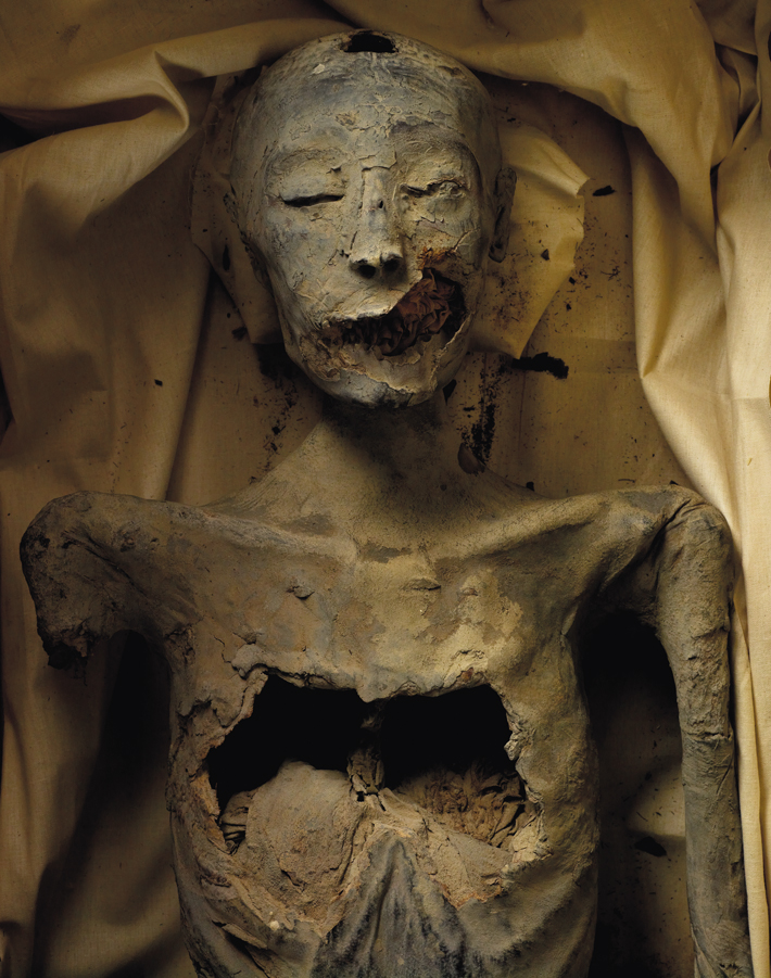 Egypt Younger Lady Mummy